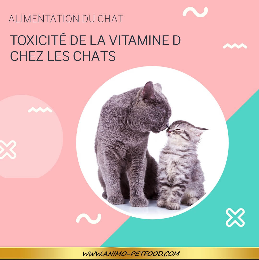 Toxicité de la vitamine D chez les chats